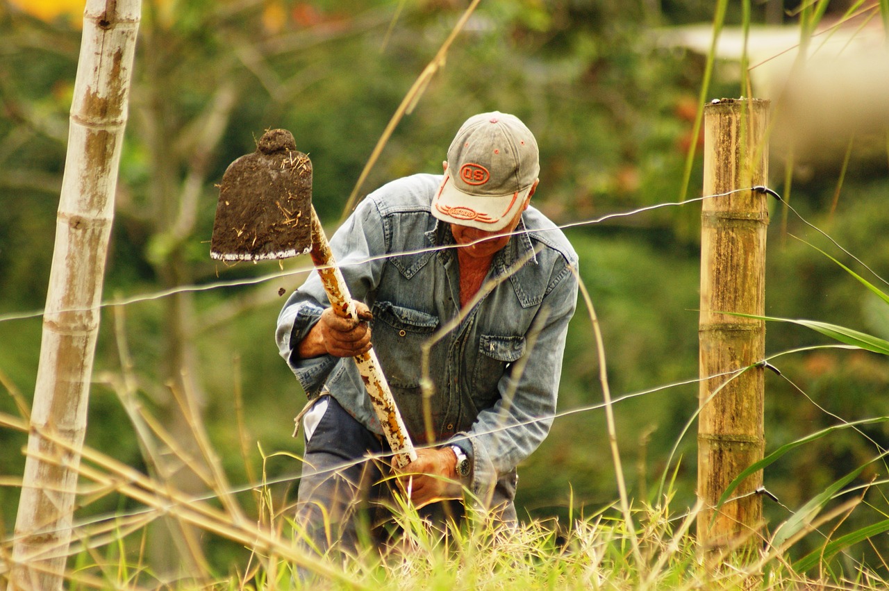 farmers, zone, coffee maker-2517476.jpg